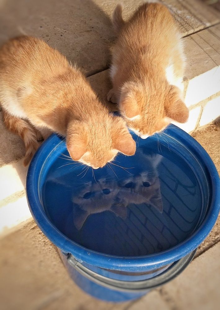 Photograph by Inna Kabanovich