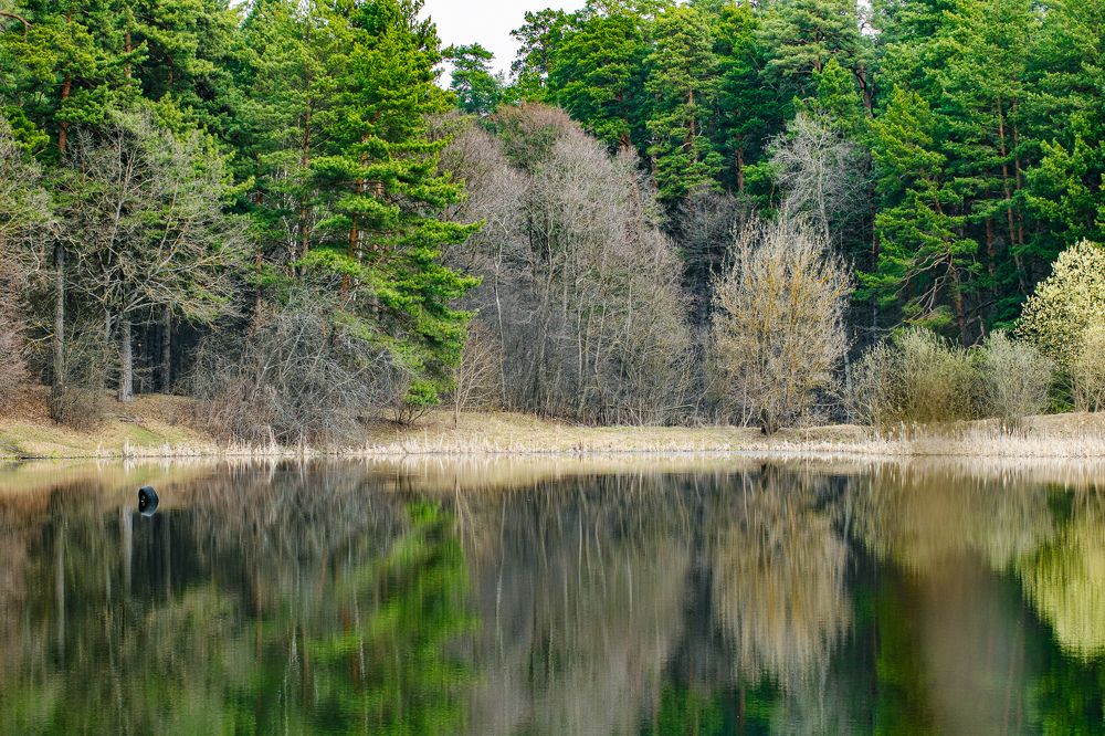 Photograph by Герман Корнеев