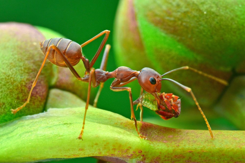 Photograph by KAIYEN LEE