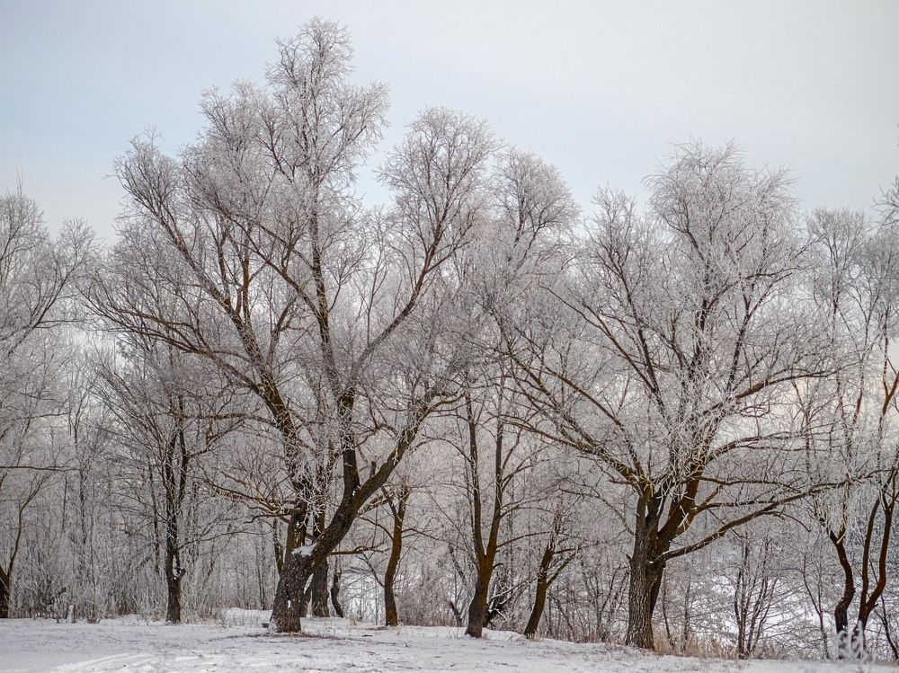 Photograph by mikhail goryachev