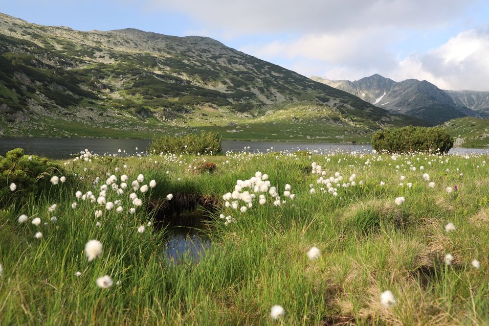 Photograph by Popa Alin