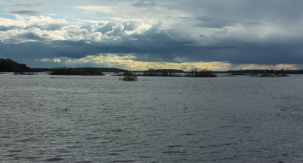 Spills of the river Big South in the spring in cloudy weather