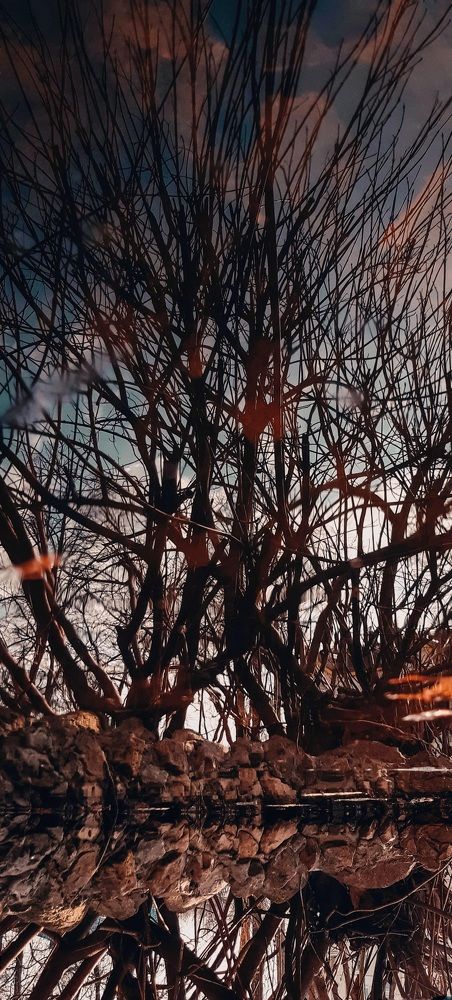 Photograph by Александра Кропивка