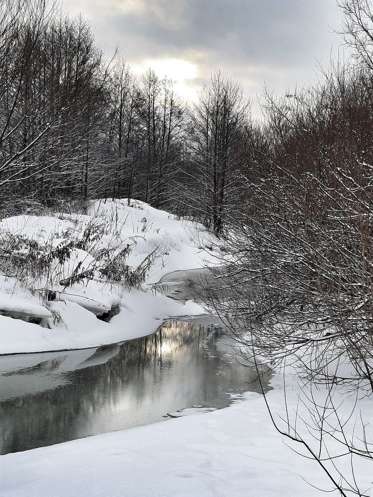 Фотография автора Olga Kunakova