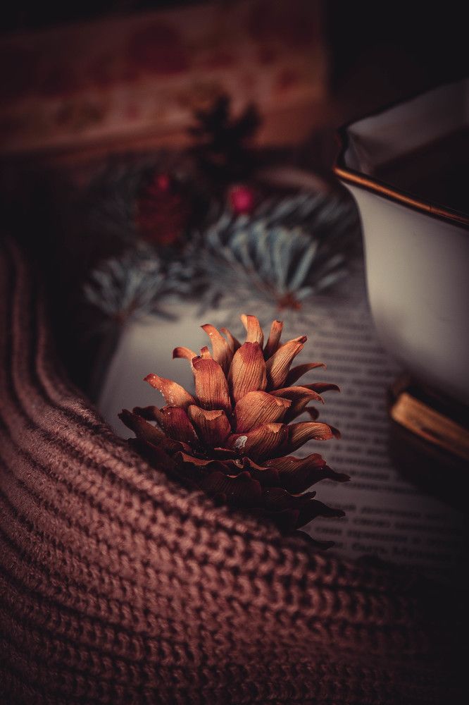 Photograph by Ольга Александровна Жаркова