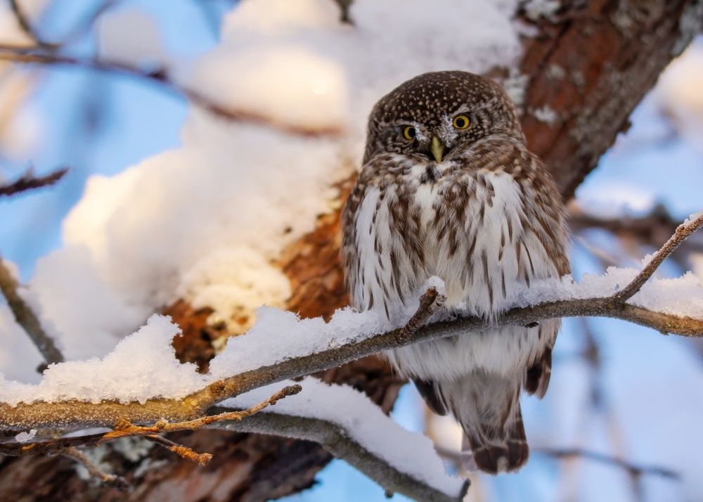 Photograph by Екатерина