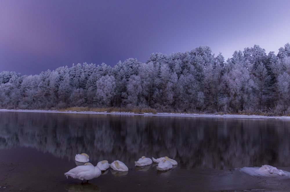 Photograph by Тема Амельянчик