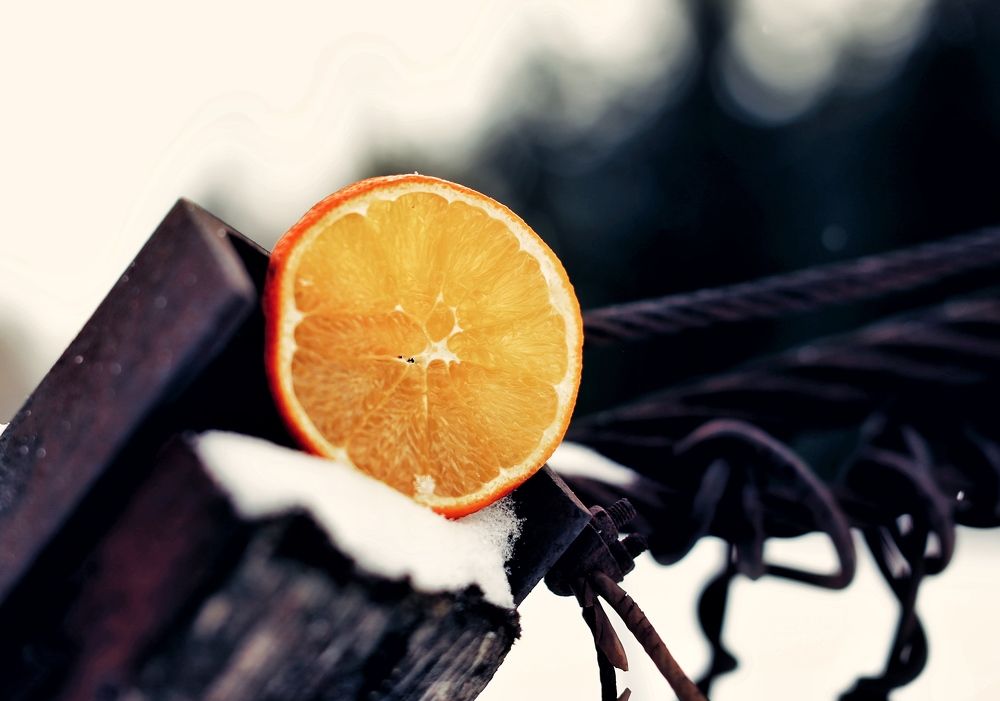 Photograph by Евгения