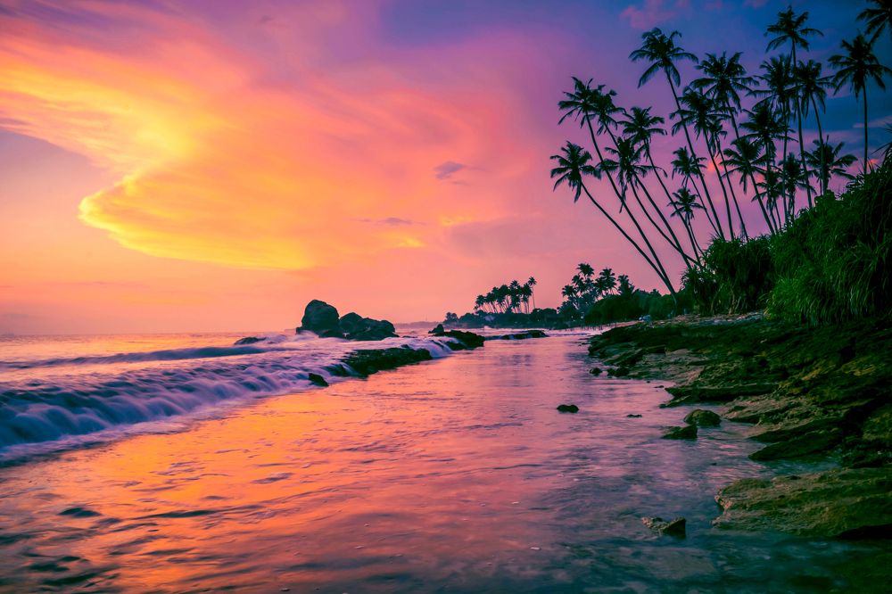 Photograph by Namal Siriwardena