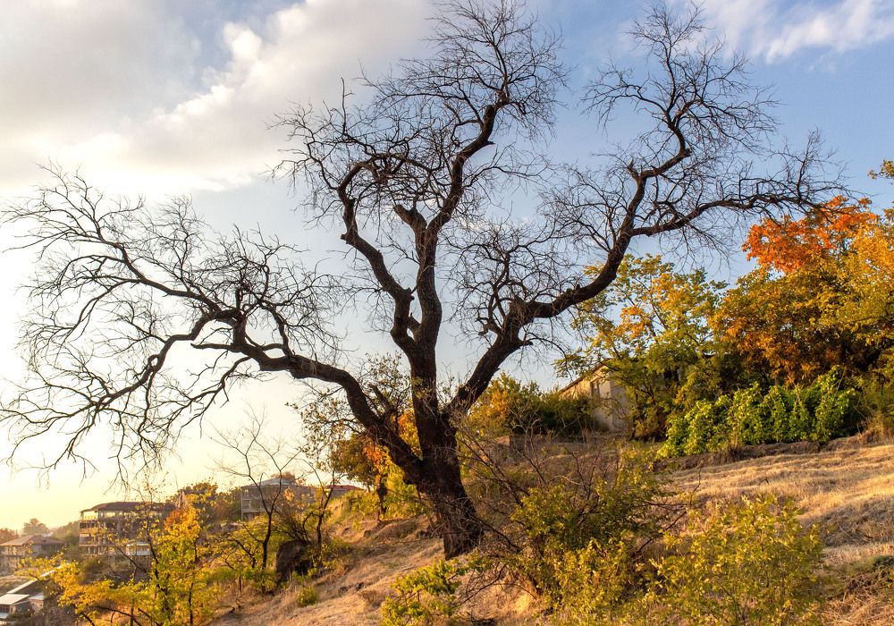 Photograph by Константин Лившиц