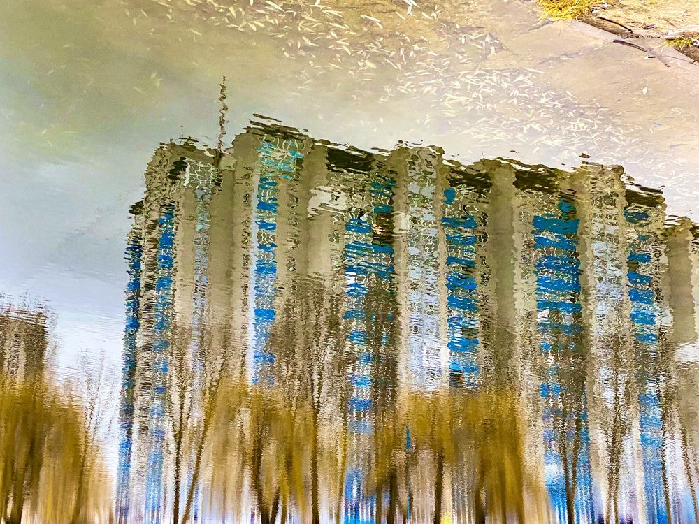 Photograph by Anna Haidukova