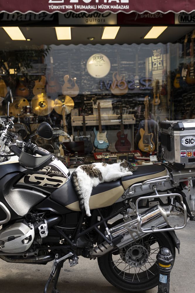 Photograph by Olga Smirnova