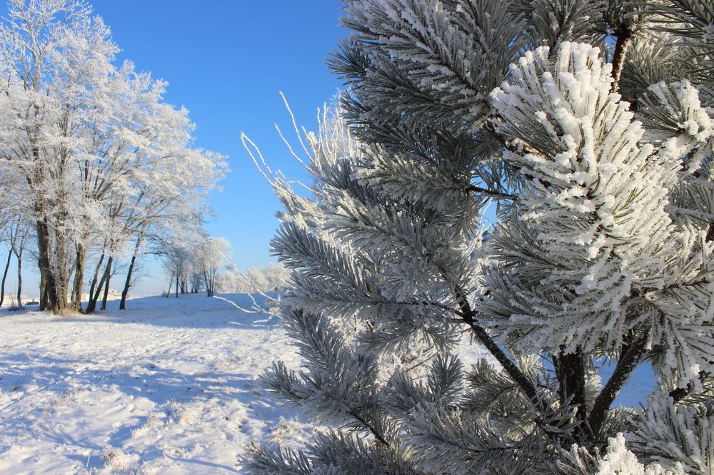 Фотография автора Катеренчук Андрей