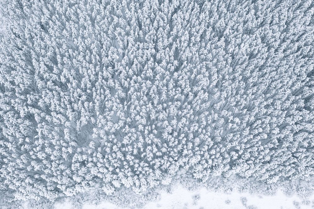 Photograph by Alexey Nikitin