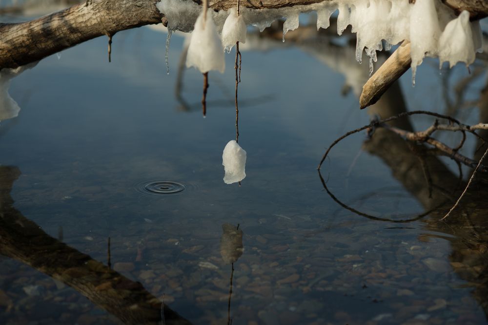 Photograph by Наталья Цуканова