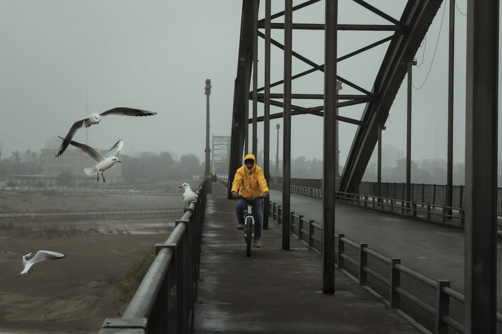 Photograph by arash radmanesh