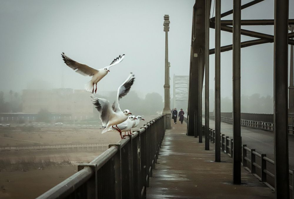 Photograph by arash radmanesh