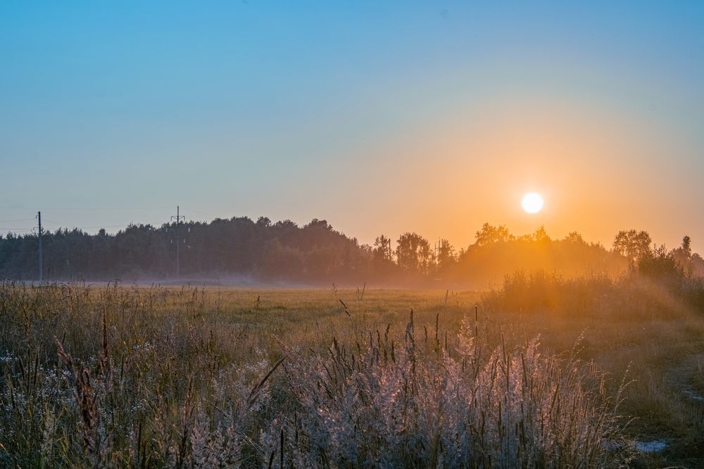 Photograph by Герман Корнеев