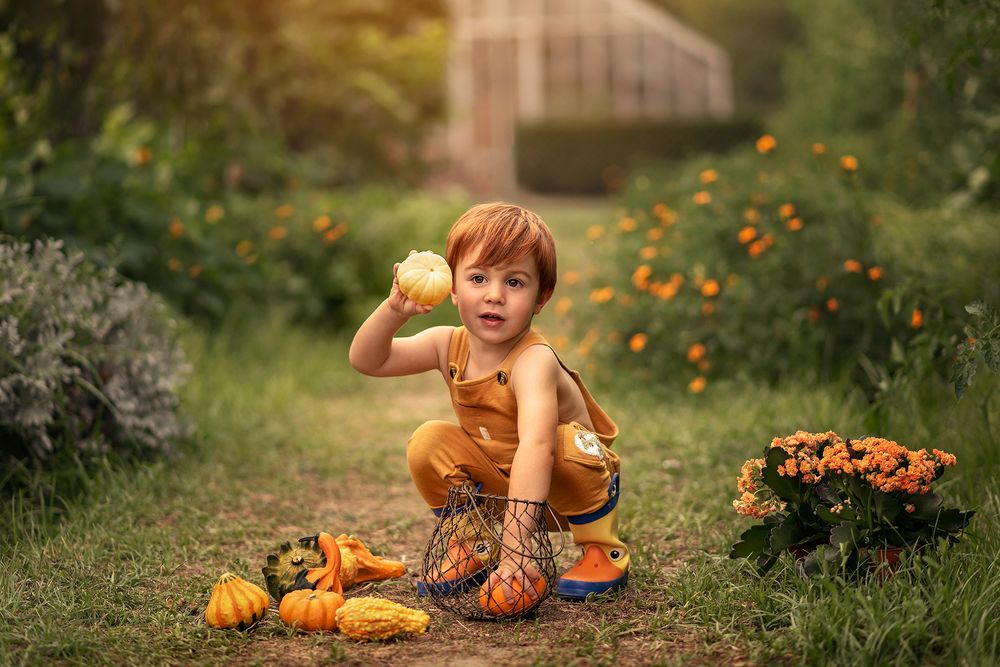 Фотография автора beatriz ostos