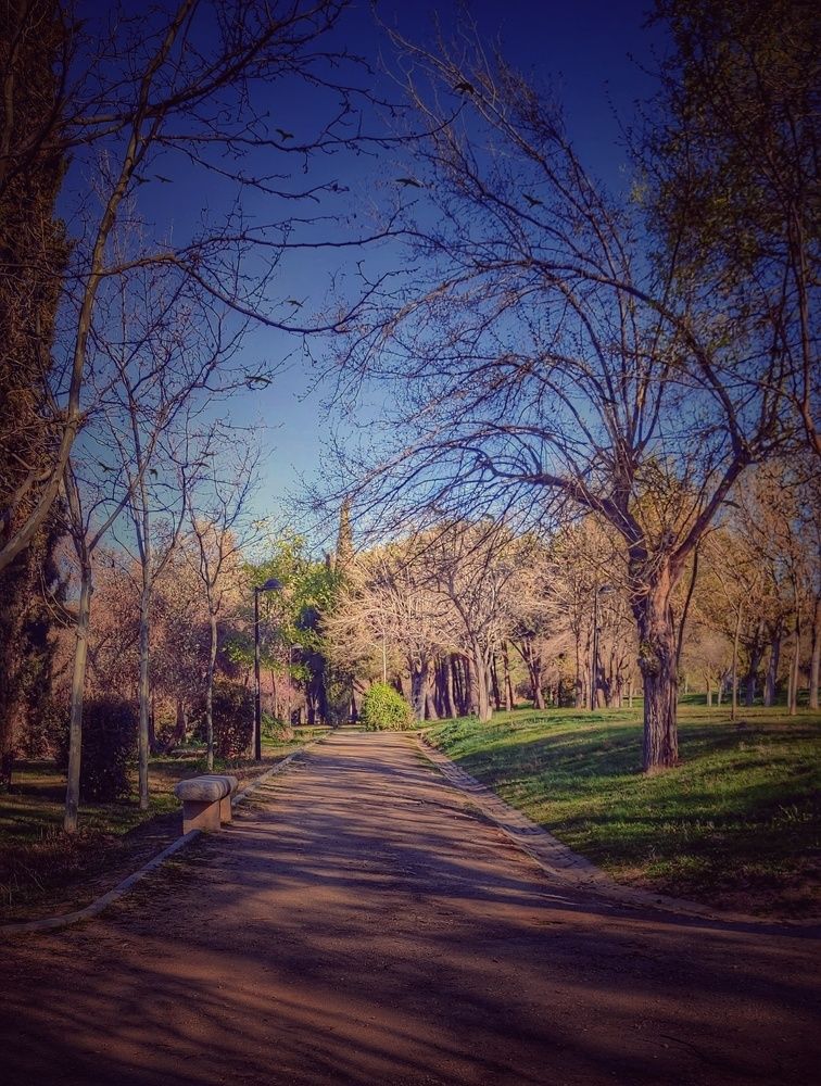 Photograph by Luminita Manaila
