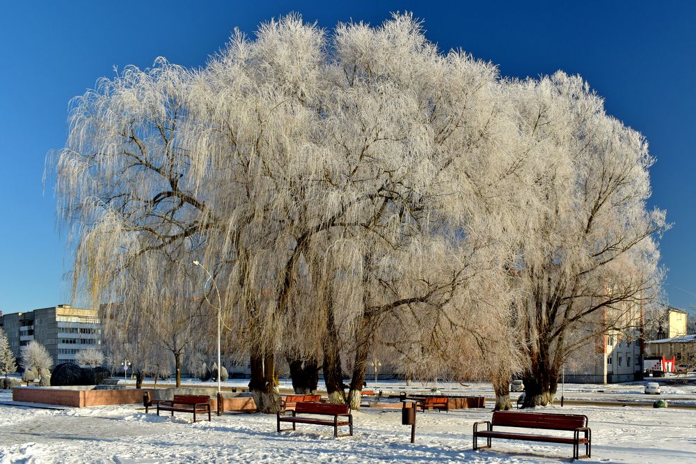 Photograph by Валерий Талейко