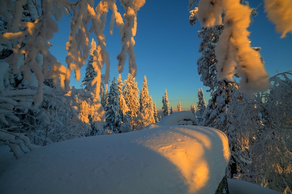 Photograph by Елена Перминова