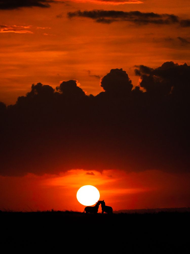 Photograph by Dhir Jakharia