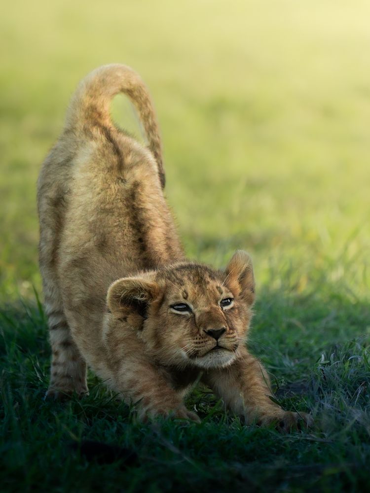 Photograph by Dhir Jakharia