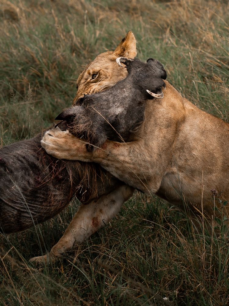 Photograph by Dhir Jakharia