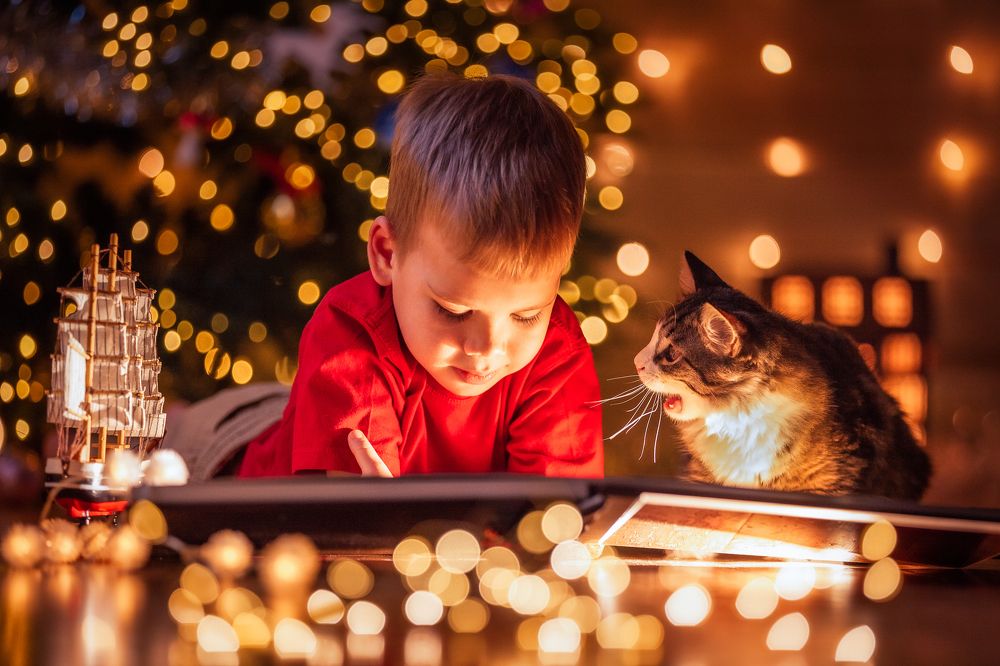 Photograph by Татьяна Кучербаева