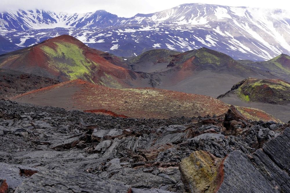 Фотография автора Татьяна Добровольская