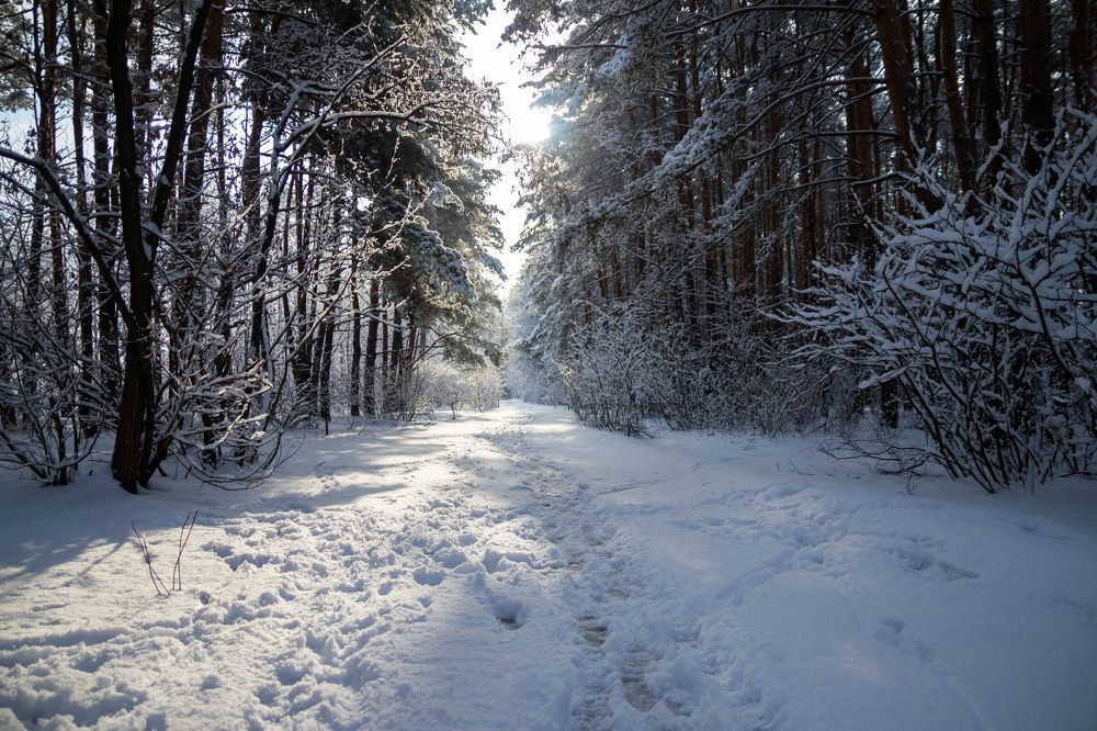 Photograph by Дмитрий Тимин