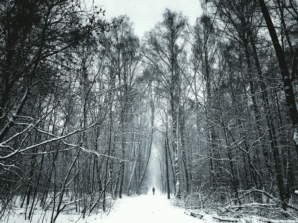 Photograph by Pavel