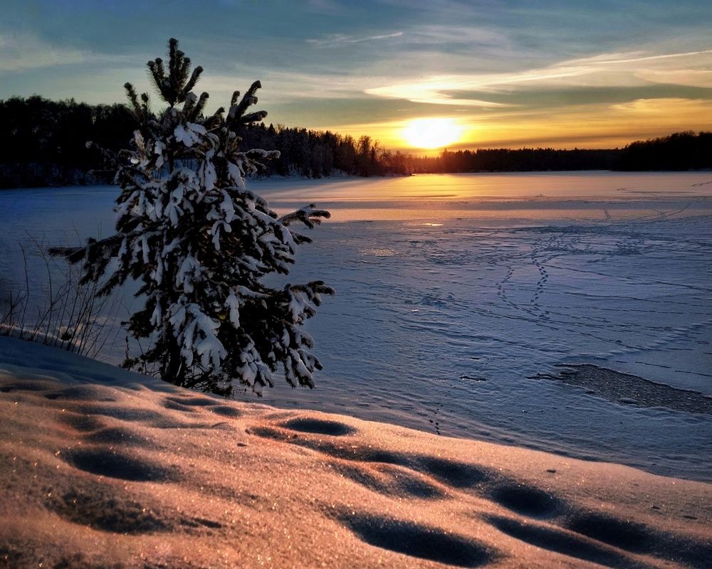 Photograph by Сергей Малашкин