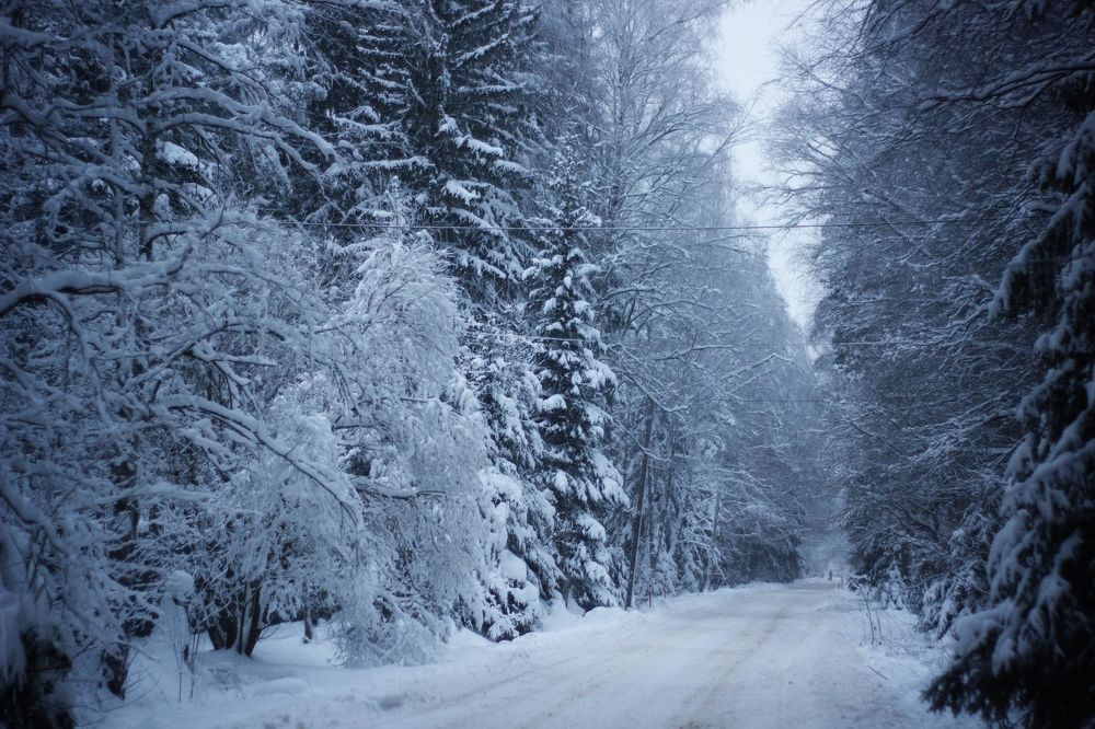 Photograph by Екатерина Амирасланова