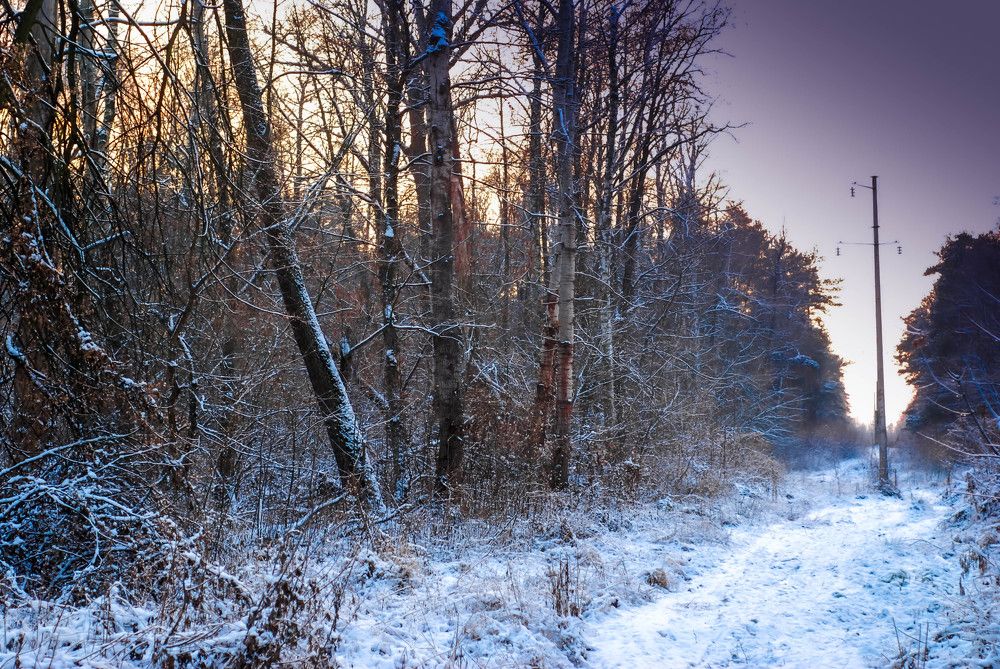 Photograph by Oleksii Smoliakov