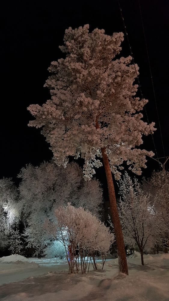 Принакрылась инеем точно серебром
