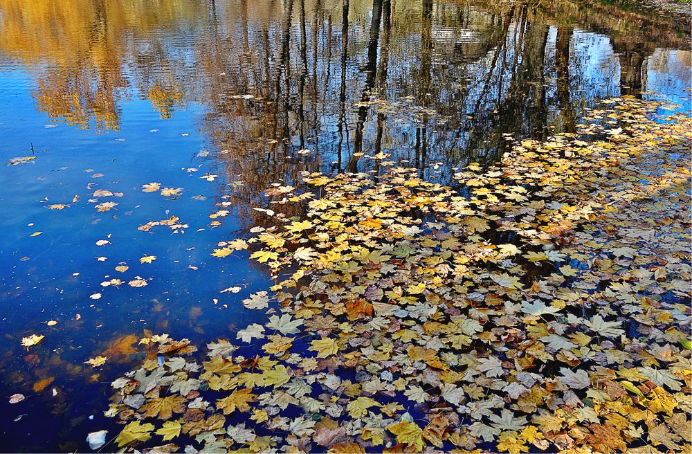 Photograph by IRINA KORNEVA