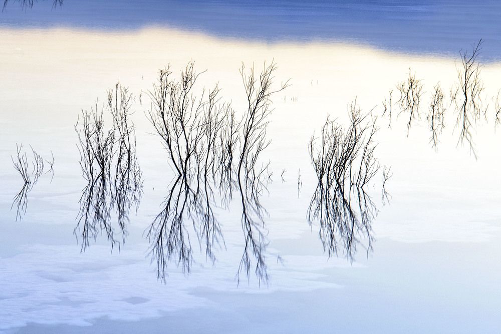 Photograph by Victor Belokrinitski