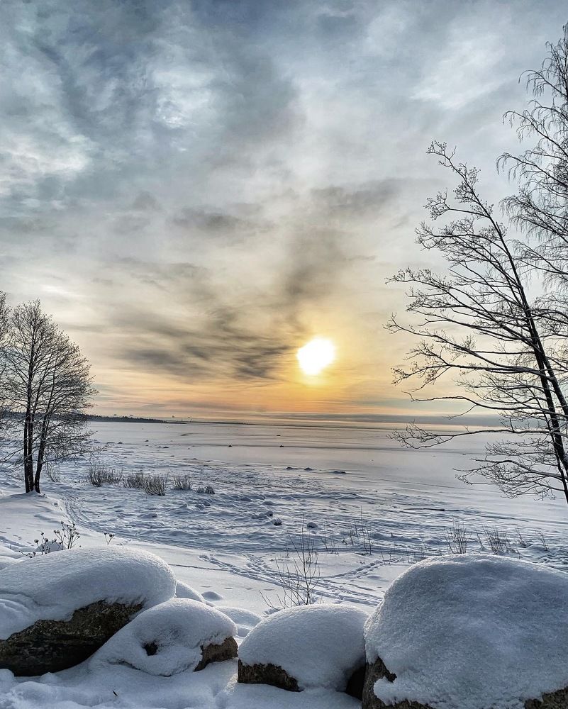 Photograph by Логинова Наталия