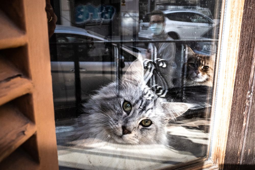 Photograph by Abreu Pablo