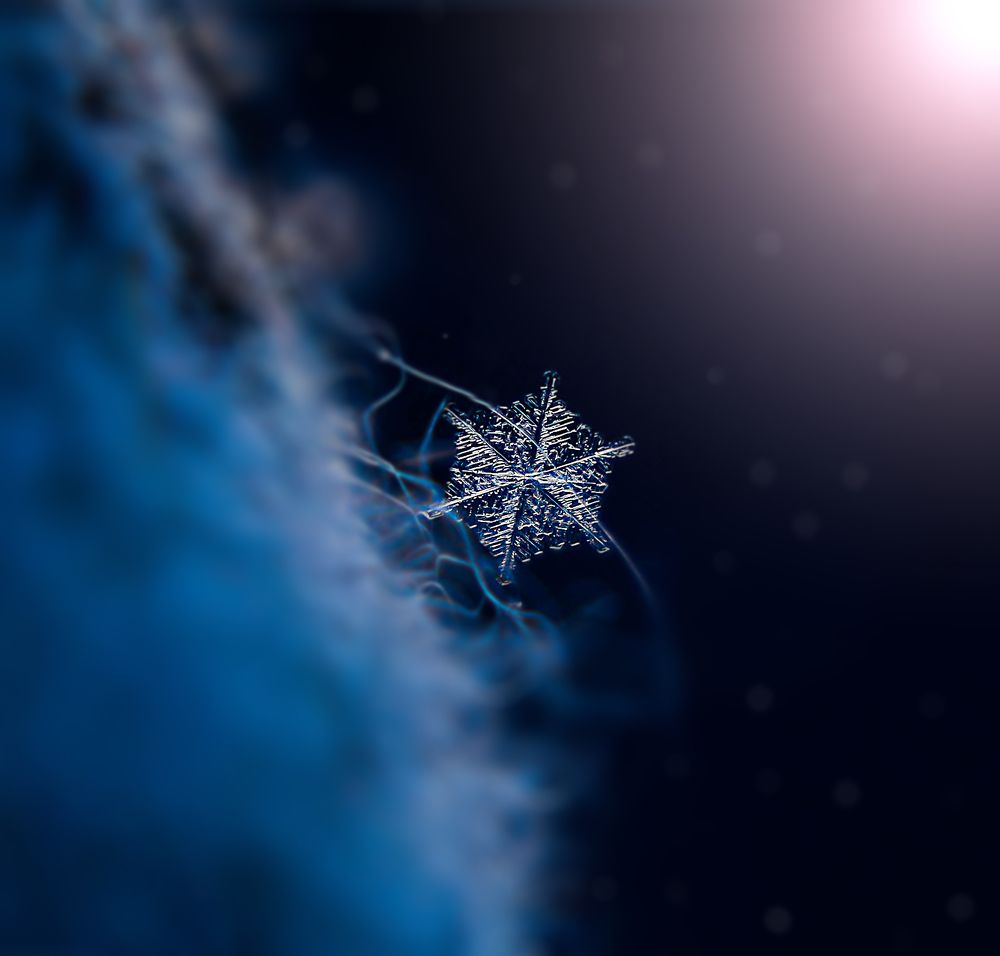 Photograph by Татьяна Рогожа