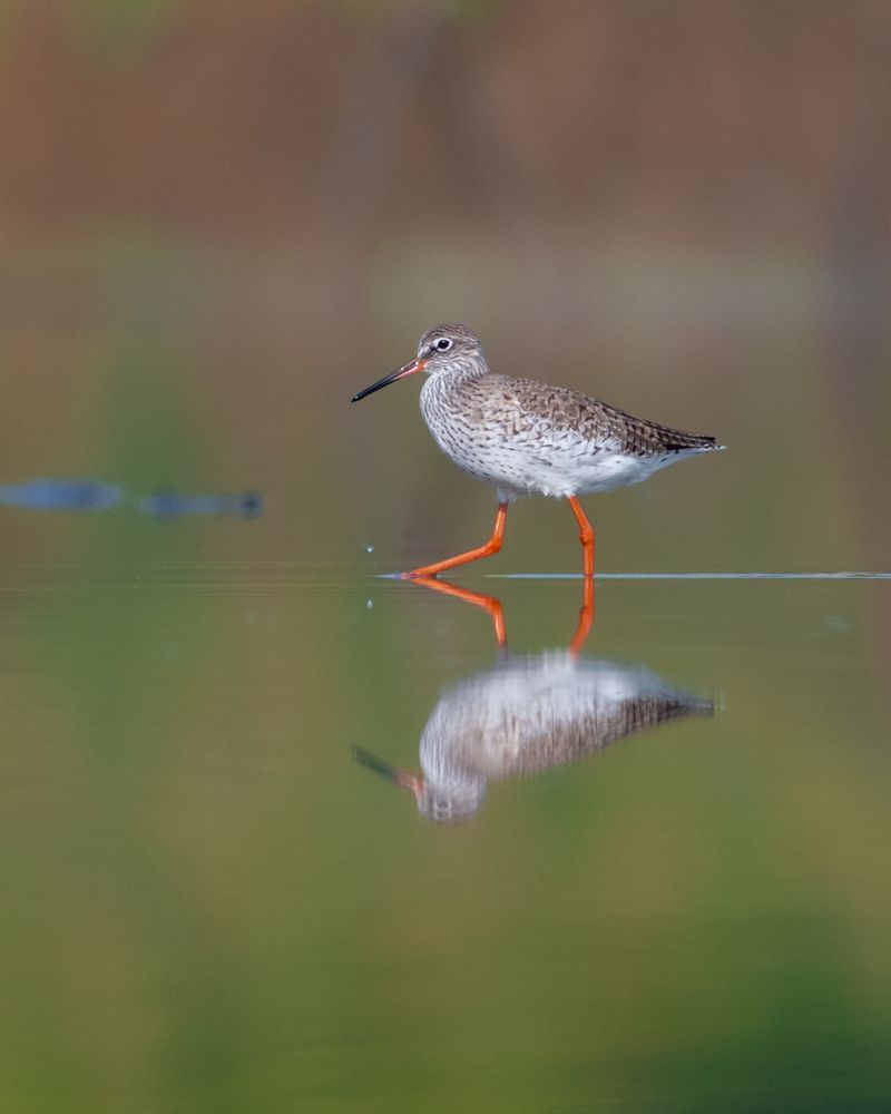 Photograph by Visveswar VK