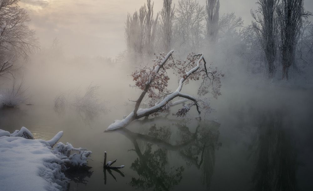 Photograph by Plekhanov Alexander