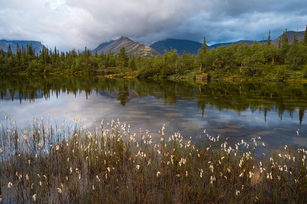 Photograph by Игорь Лазарев