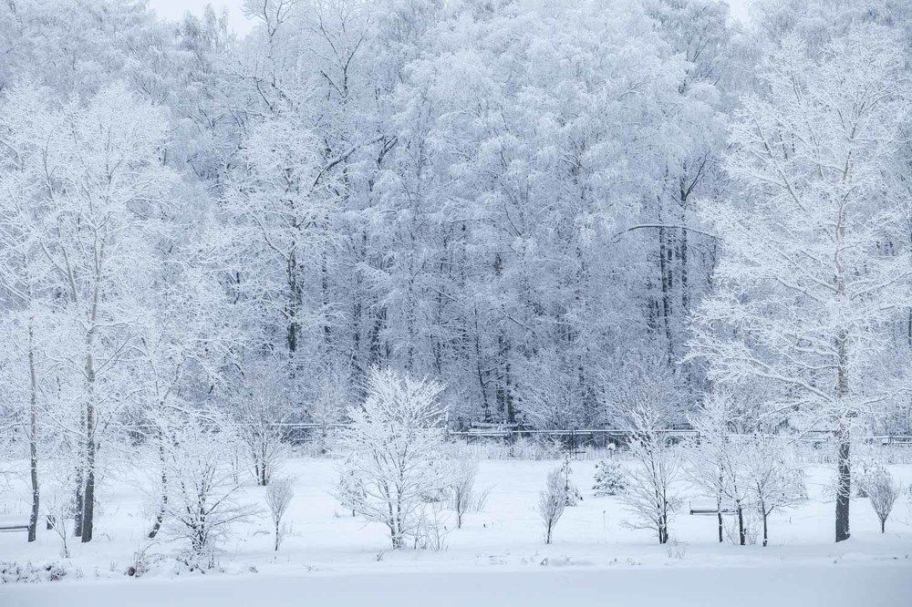 Photograph by Татьяна Макотра