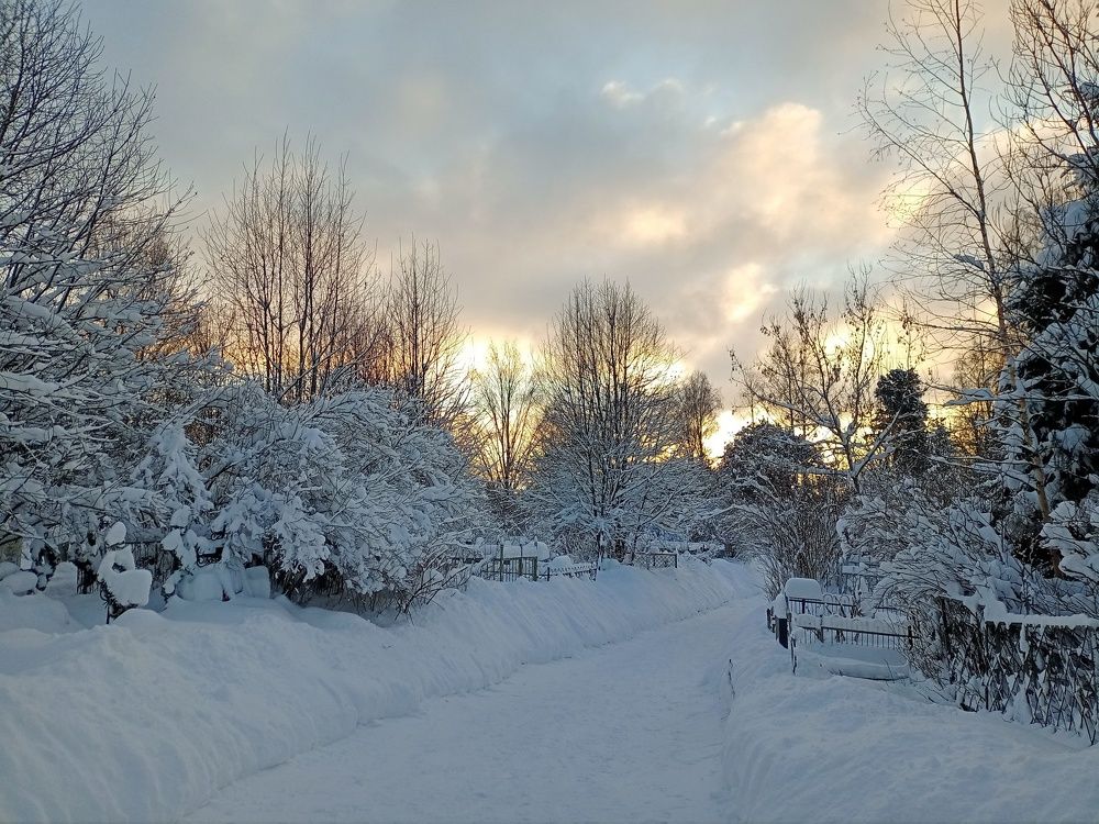 Photograph by Сергей Кочнев