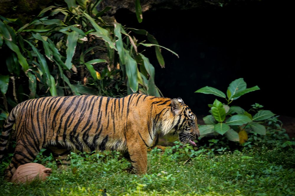 Photograph by Yustiawan