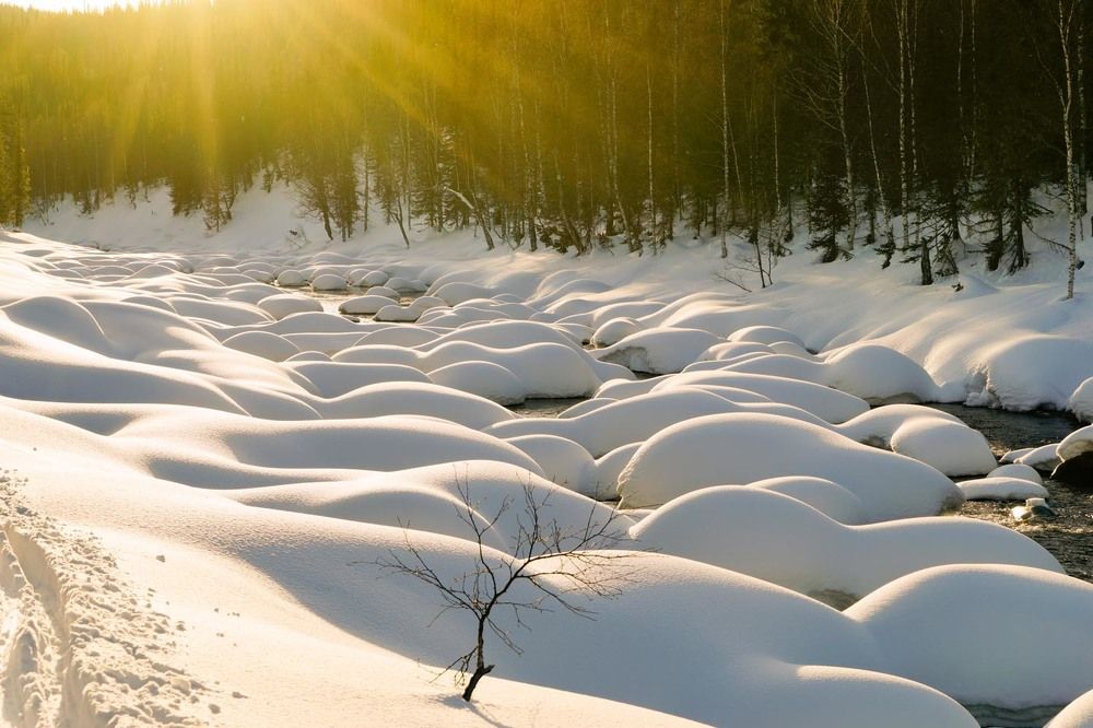 Фотография автора Татьяна Добровольская