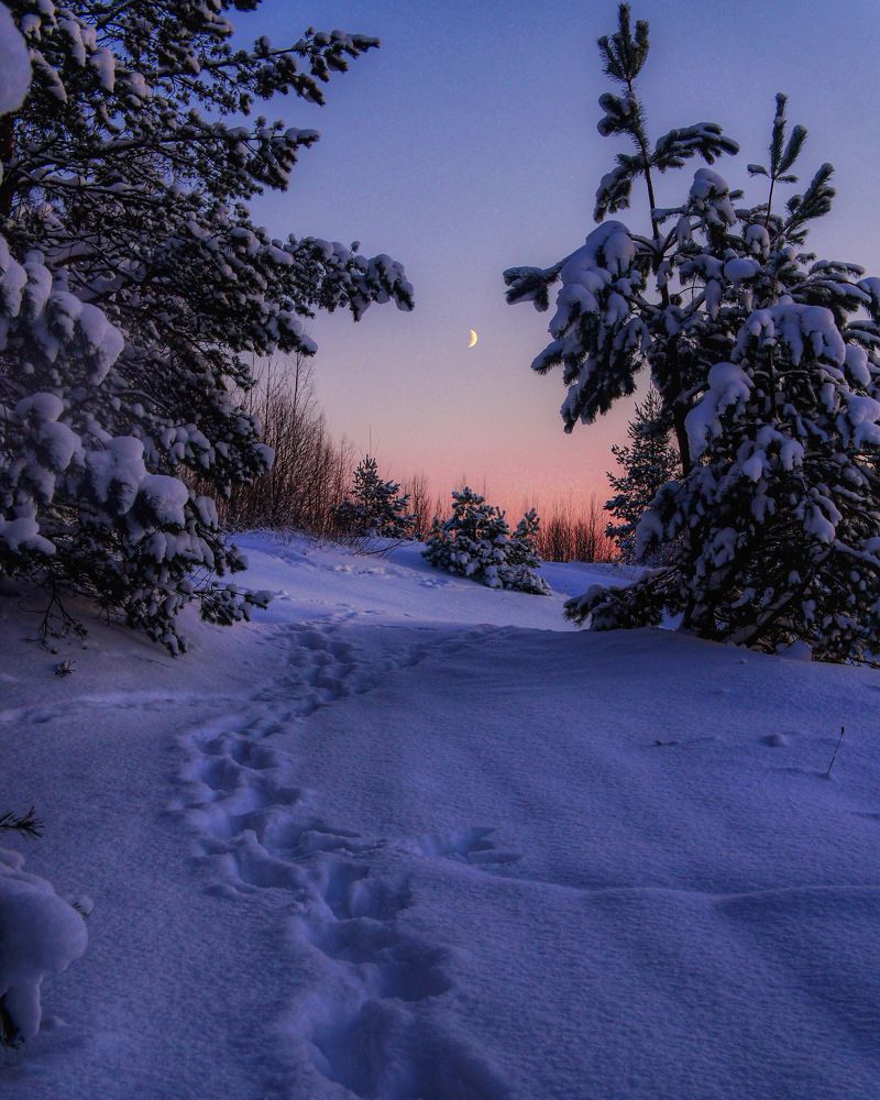 Фотография автора Юрий Тихонов